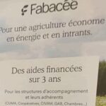 projet fabacee