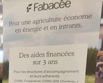 projet fabacee